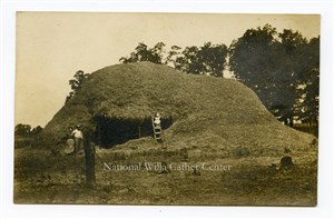 Image description is not available for PHO-264-711